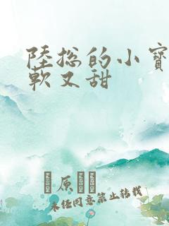 陆总的小宝贝又软又甜