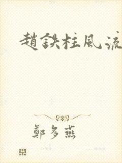 赵铁柱风流小说