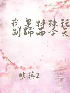 我是特殊玩具定制师而今天的客户