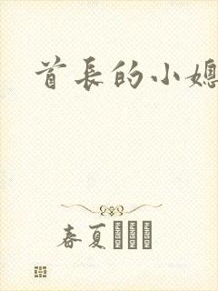 首长的小媳妇