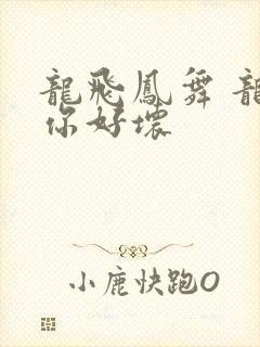 龙飞凤舞 龙王你好坏