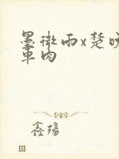 墨微雨x楚晚宁车肉