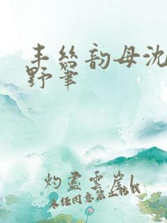 丰丝韵母沈蓉书野笔