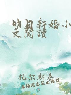 明日新婚小说全文阅读