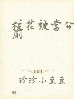 校花被当公共精厕