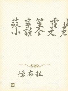 苏宁笙 霍止行小说全文免费阅读