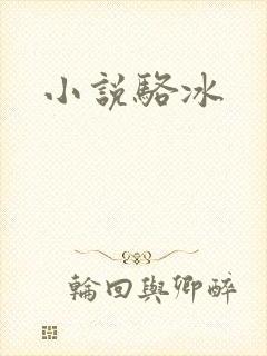 小说骆冰