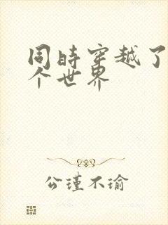 同时穿越了99个世界