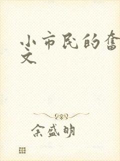小市民的奋斗燃文