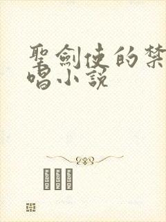 圣剑使的禁咒咏唱小说