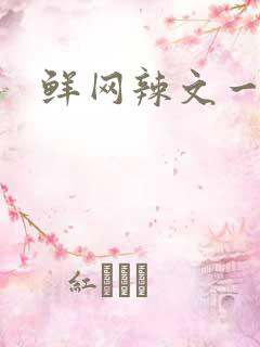 鲜网辣文一对一