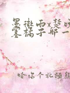 墨微雨x楚晚宁塞橘子哪一章