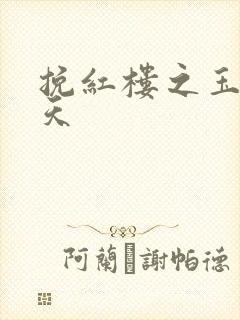 挽红楼之玉舞九天