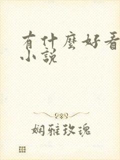 有什么好看的h小说