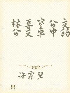 林喜宝公交车(公交车中的林喜宝)