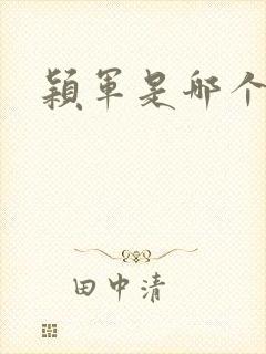 颖军是哪个军阀