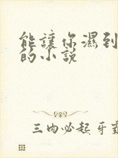 能让你湿到不行的小说