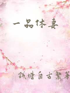 一品休妻