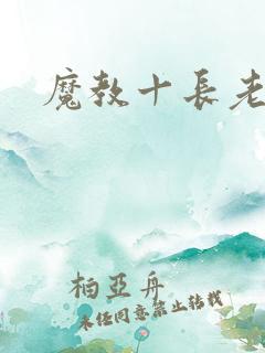 魔教十长老