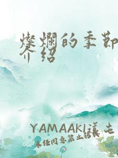 灿烂的季节剧情介绍