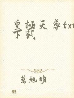 皇极天尊txt下载