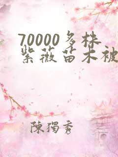 70000多株紫薇苗木被强毁