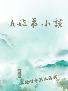 h姐弟小说