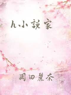 h小说家