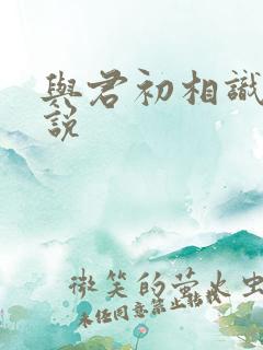 与君初相识 小说