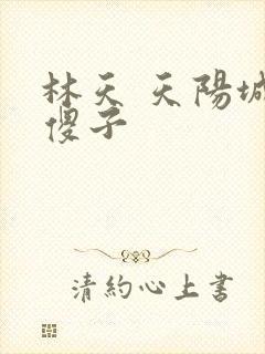 林天 天阳城 傻子