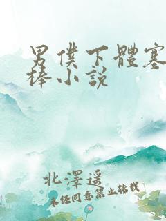 男仆下体塞震动棒小说