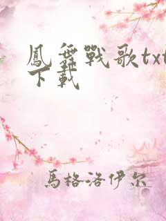 凤舞战歌txt下载