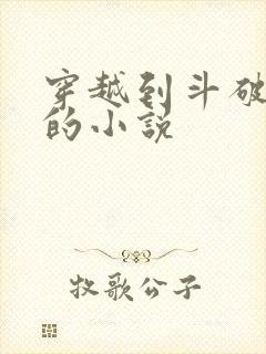 穿越到斗破苍穹的小说