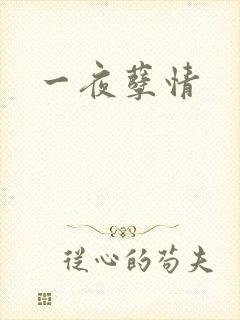 一夜孽情