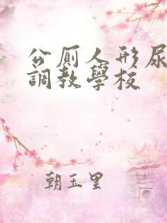 公厕人形尿便器调教学校