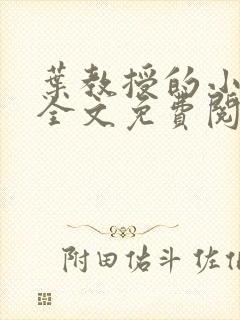 叶教授的小黏糖全文免费阅读