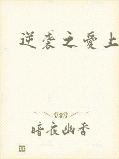 逆袭之爱上情敌