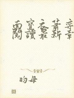 南宝衣萧弈免费阅读最新章节