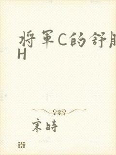 将军C的舒服么H