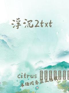 浮沉2txt