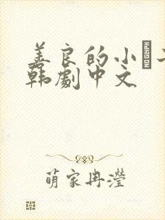 善良的小峓子2韩剧中文