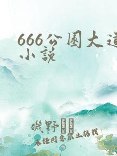 666公园大道小说