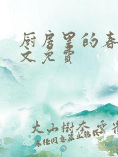 厨房里的春天全文免费