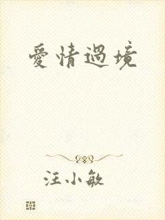 爱情过境