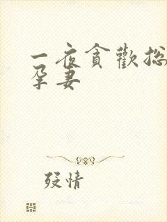 一夜贪欢总裁幸孕妻