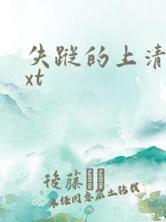 失踪的上清寺txt