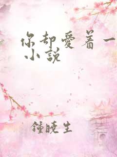 你却爱着一个他 小说