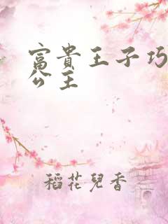 富贵王子巧遇穷公主