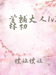 首辅大人1v2林初