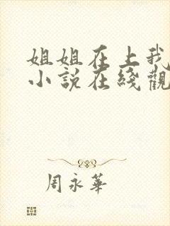 姐姐在上我在下小说在线观看